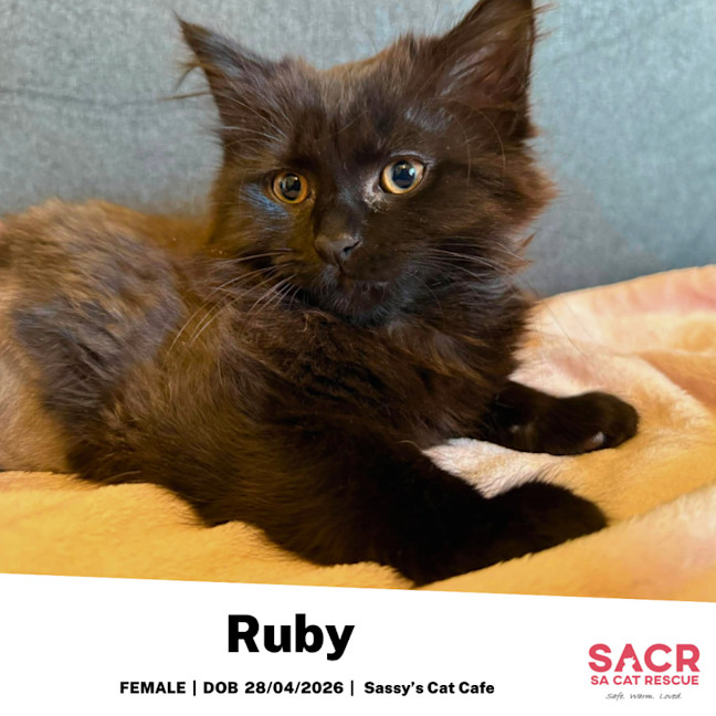 Photo of Ruby
