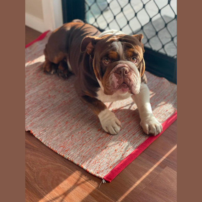 Photo of Frank