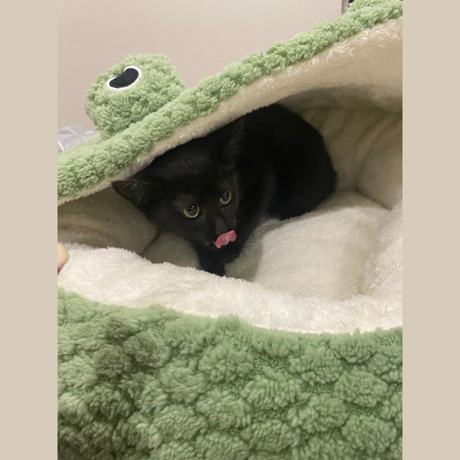 Photo of Wednesday