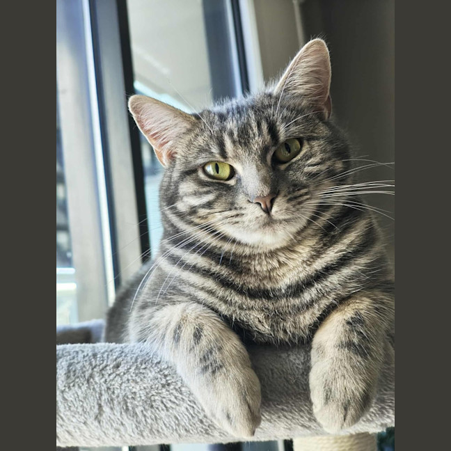 Photo of Ava   In Foster Care In Melbourne