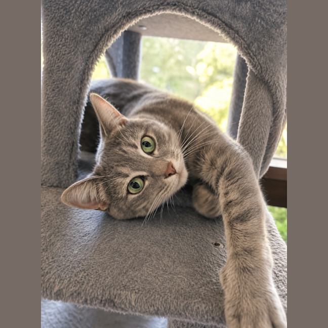 Photo of Luna