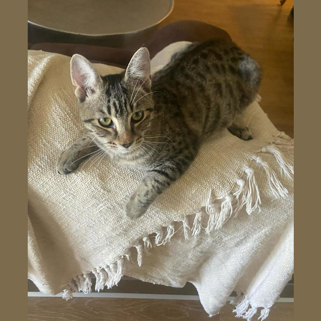 Photo of Tommy