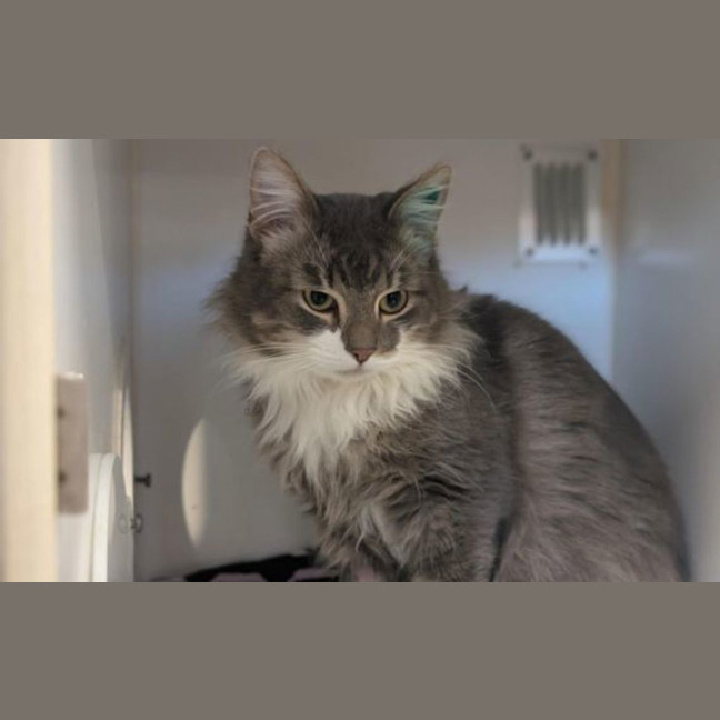 Photo of Miguel