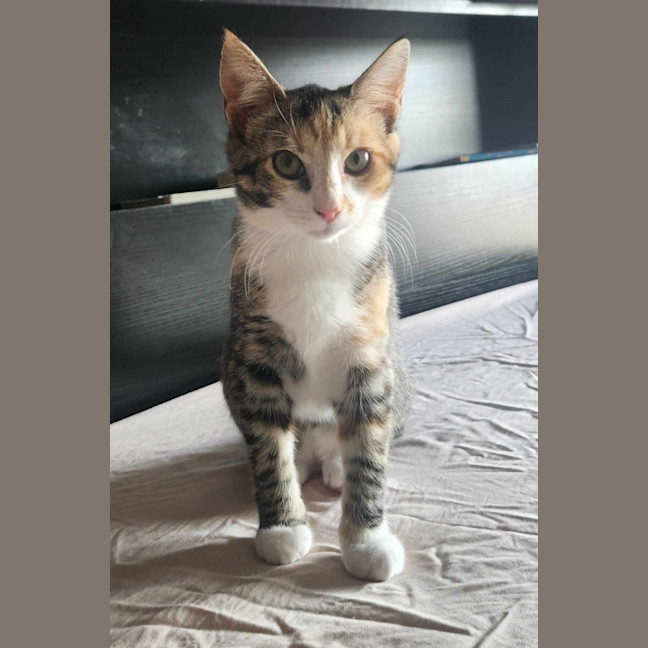 Photo of Lucy   Located In Templestowe