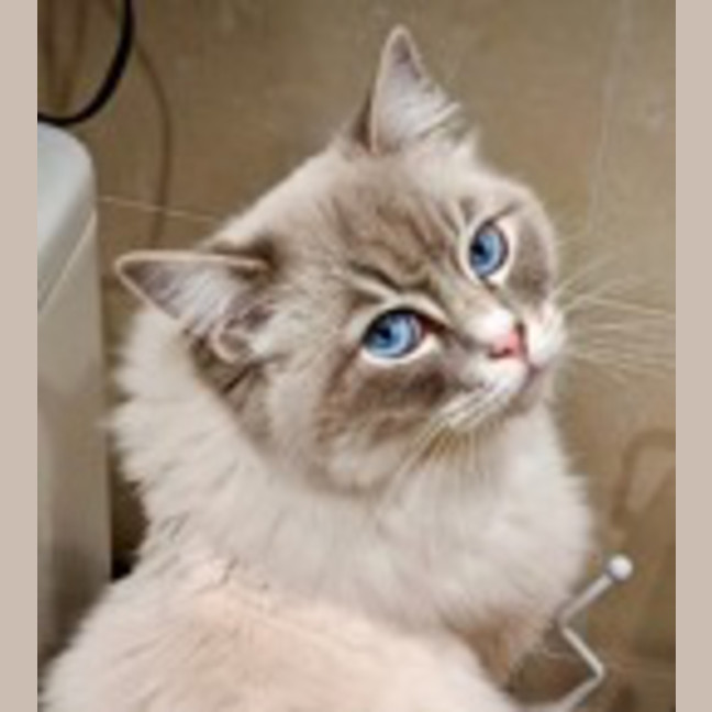Photo of Zoe