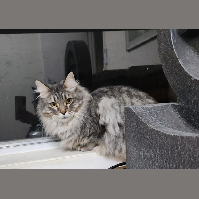 Photo of Charlotte & Scarlett 🌷🌷