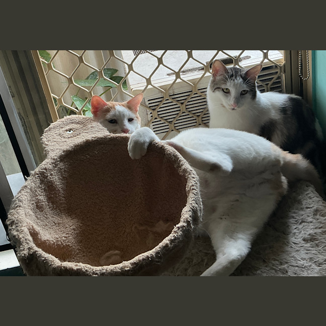 Photo of Luvvy