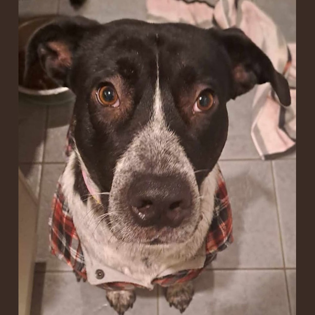 Photo of Tess Tickles