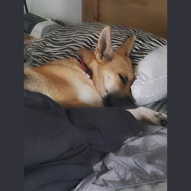 Photo of Angel