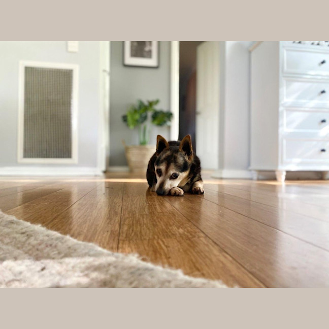 Photo of Miguel Kumara