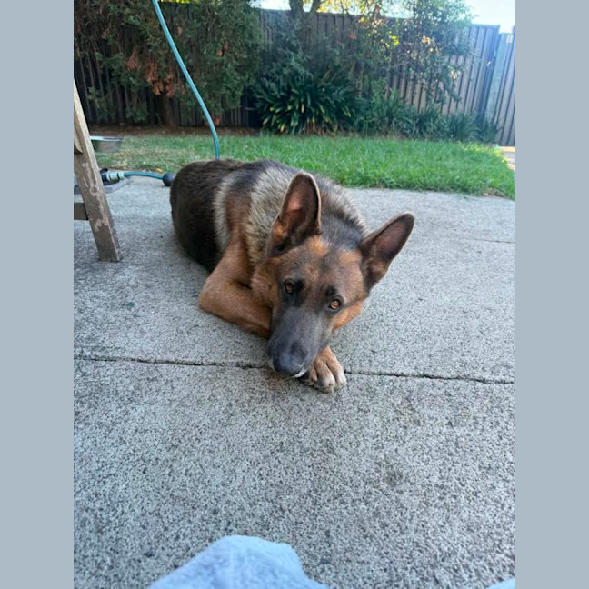 Photo of Blue