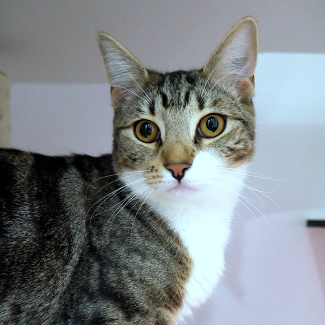 Photo of Johnny & Ulessys