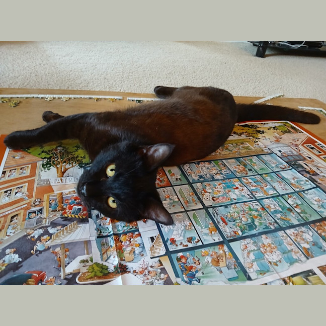 Photo of Elwood