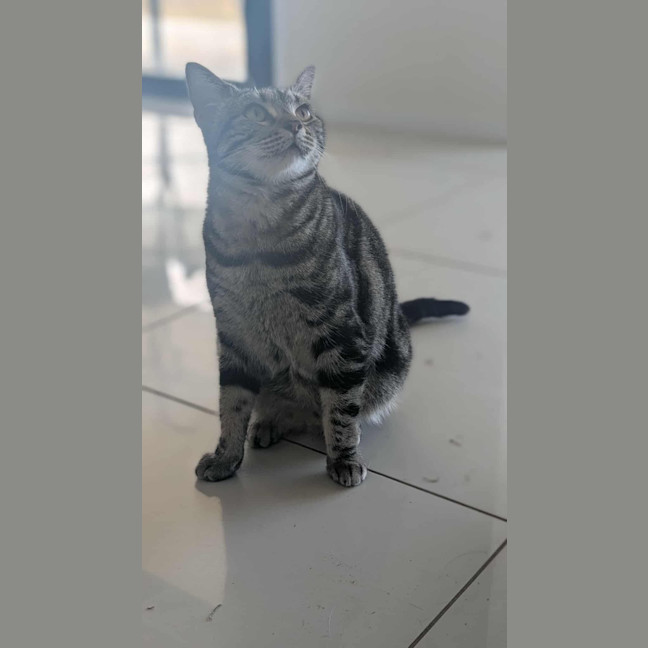 Photo of Susie