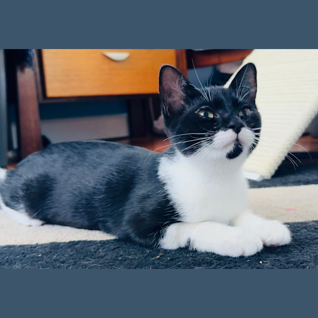 Photo of Minnie