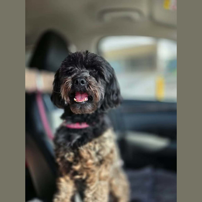 Photo of Roxi