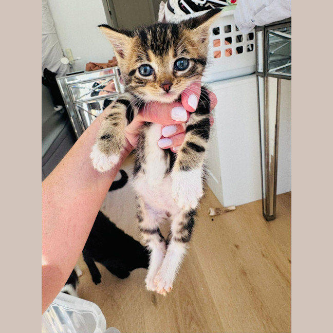 Photo of Cece 💕