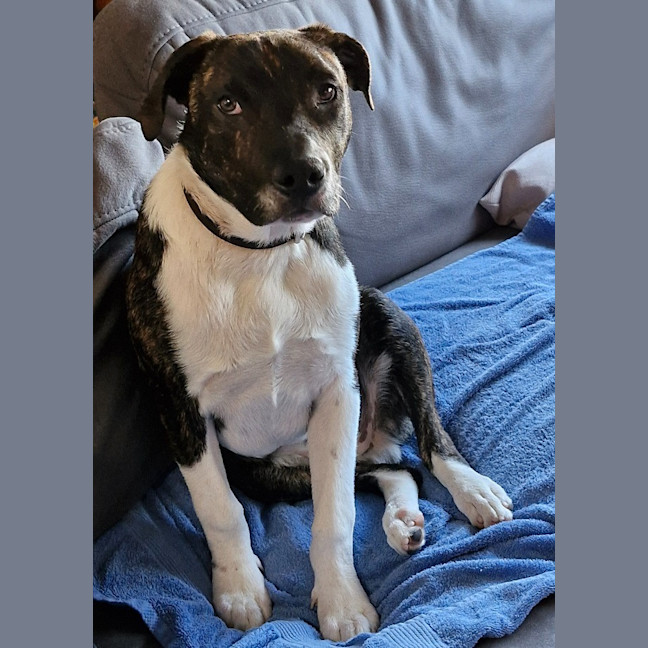 Photo of Zig