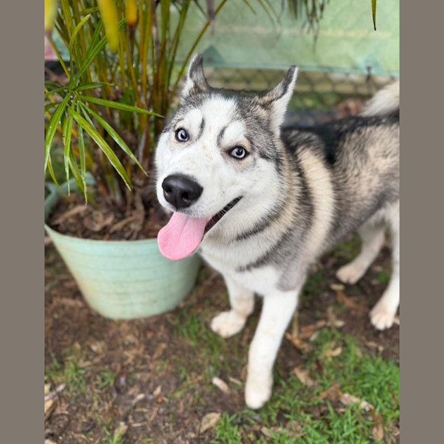 Photo of Echo