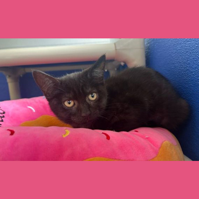 Photo of Talia