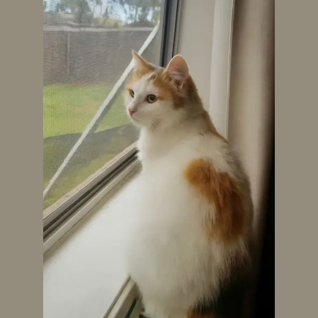 Photo of 💛Cassie💛