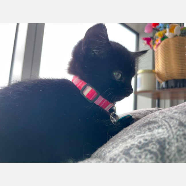 Photo of Bonnie