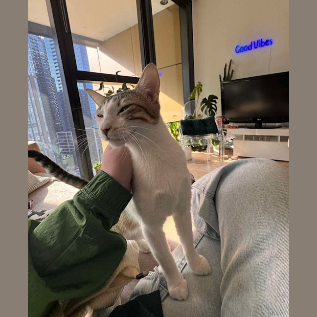 Photo of Tink & Bella 