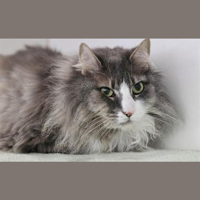 Photo of Hazel