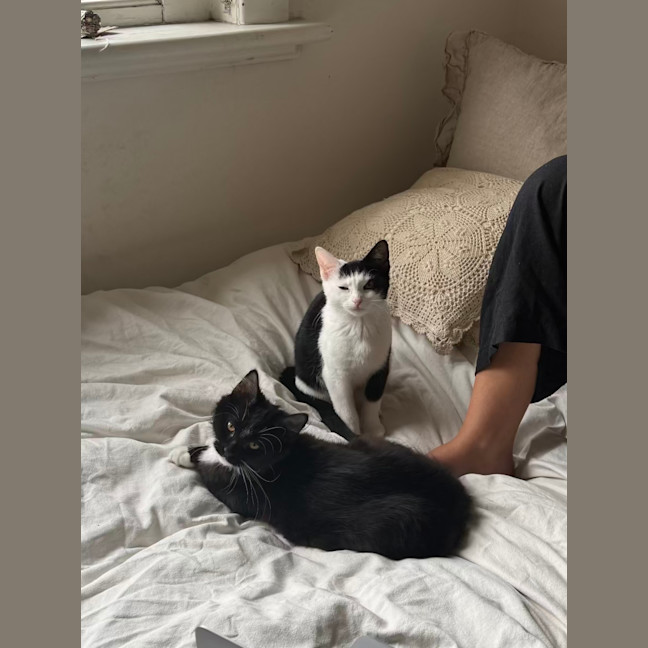 Photo of Pumpkin And Feta