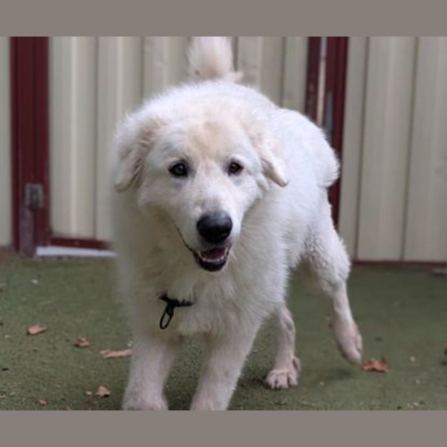 Photo of Zeus