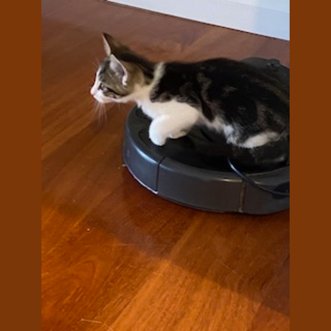 Photo of Percy