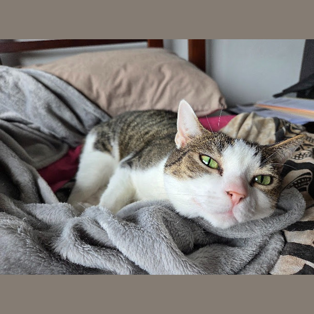 Photo of Molly / Milly