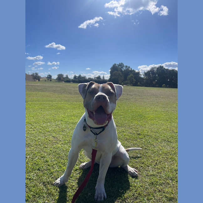 Photo of Bellie