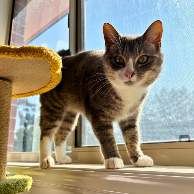 Photo of Millie