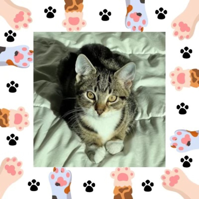 Photo of Gert