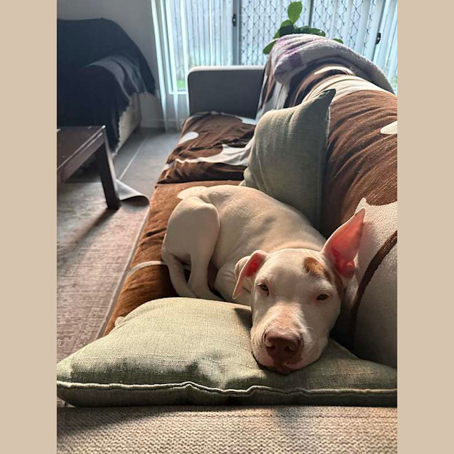Photo of Max