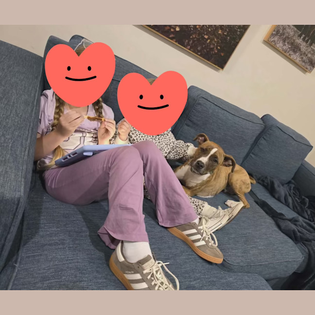 Photo of Rocky