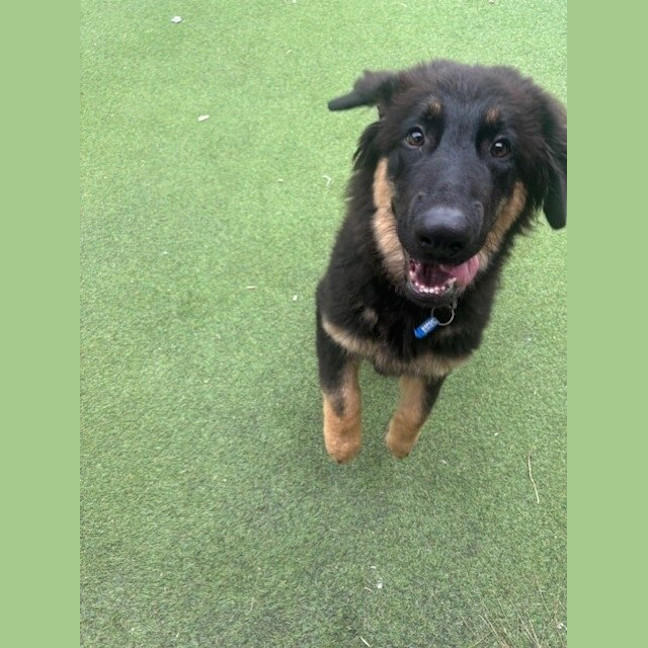 Photo of Max