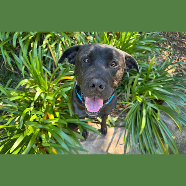 Photo of Bonnie