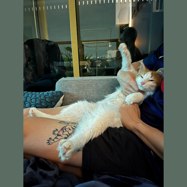 Photo of Murphy