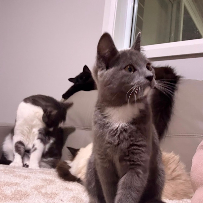 Photo of Arya 🪻💜