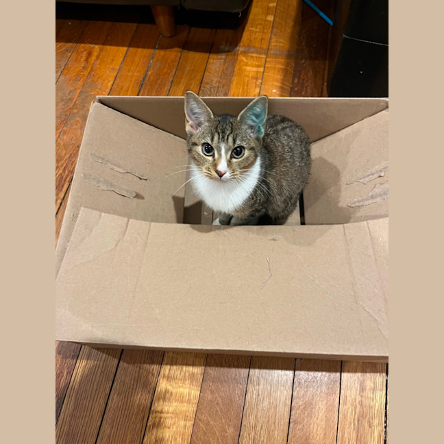 Photo of Mina