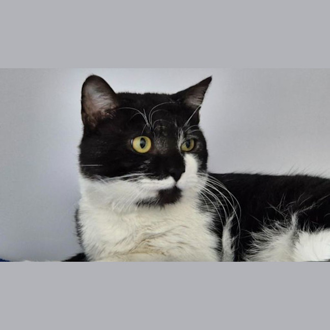 Photo of Simon