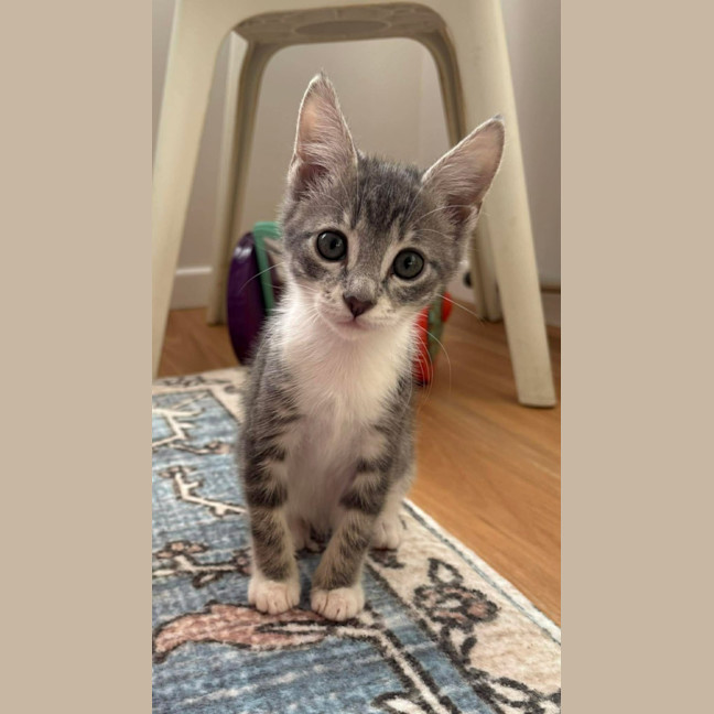 Photo of Zara