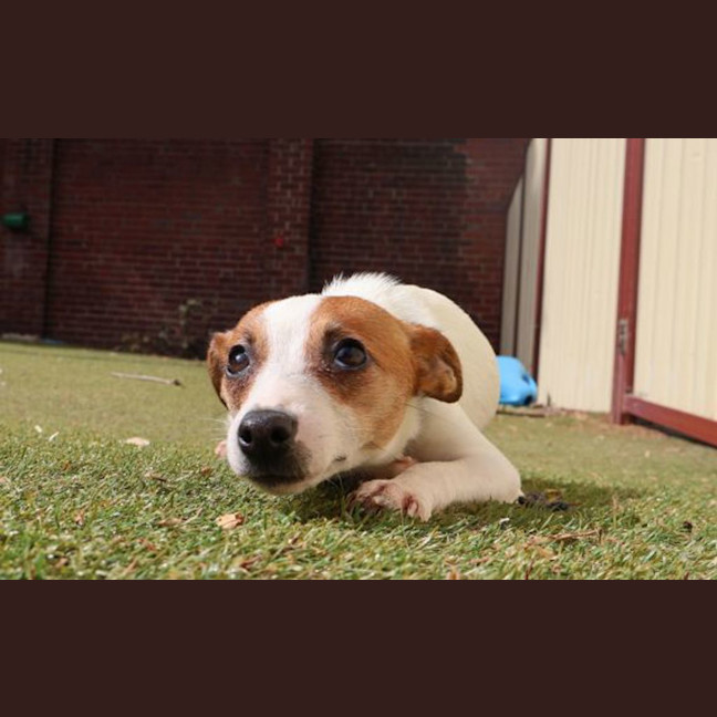 Photo of Slinky