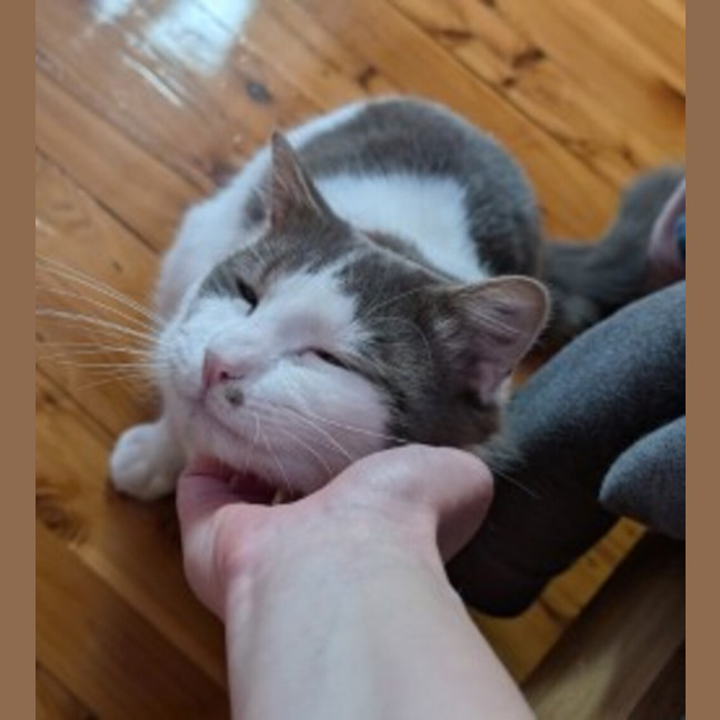 Photo of Smokey