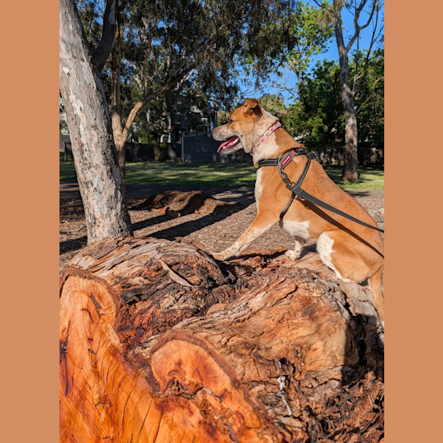 Photo of Sally Brown