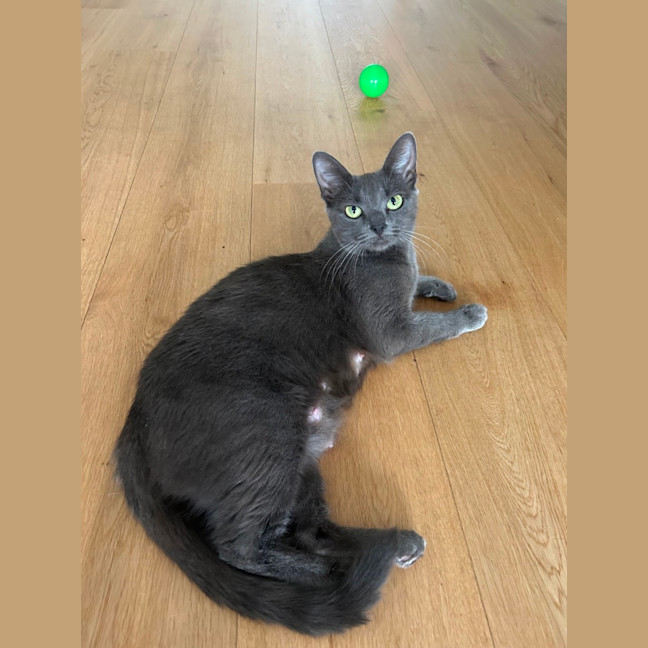 Photo of Belle & Buttons 