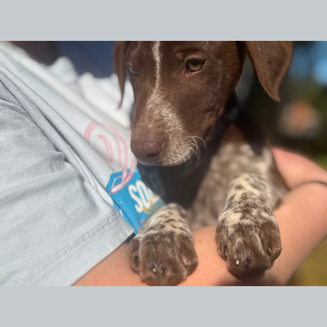 Photo of Buddy