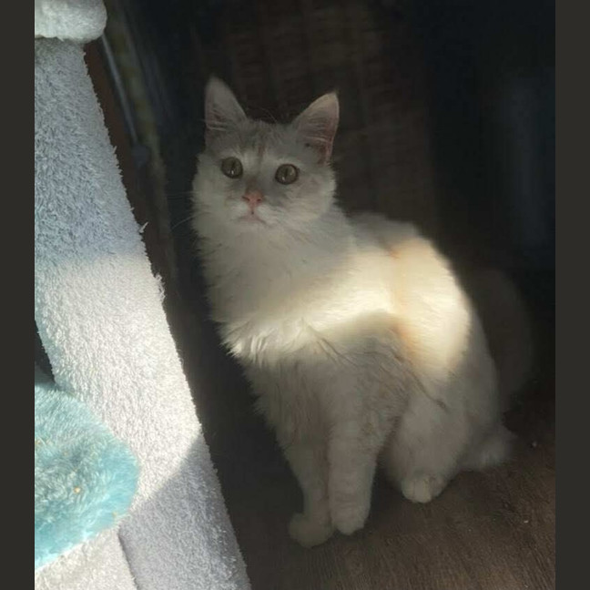 Photo of Mr Wimberley 